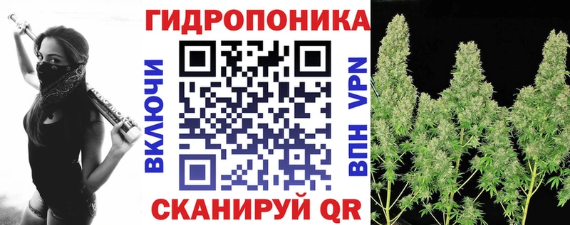 купить закладку  Шебекино  Каннабис индика 